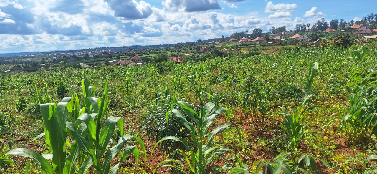 Plot for sele - Nyamata, Bugesera